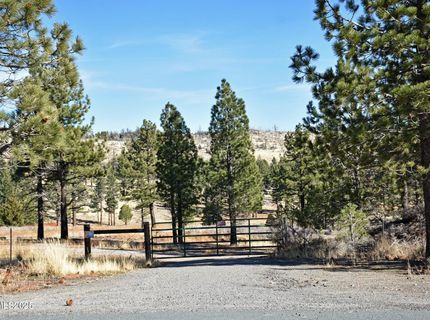 Apn 047 State Route 89, Markleeville, CA 96120 Photo