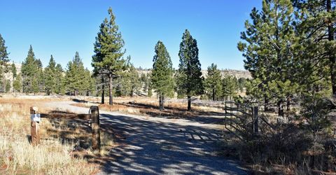 Apn 047 State Route 89, Markleeville, CA 96120 Photo