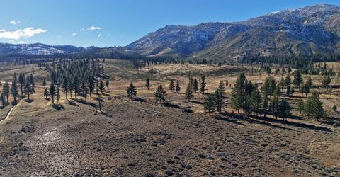 Apn 047 State Route 89, Markleeville, CA 96120 Photo