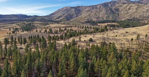 Apn 047 State Route 89, Markleeville, CA 96120 Photo