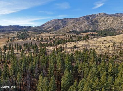 Apn 047 State Route 89, Markleeville, CA 96120 Photo