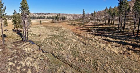 Apn 047 State Route 89, Markleeville, CA 96120 Photo