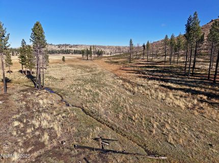 Apn 047 State Route 89, Markleeville, CA 96120 Photo