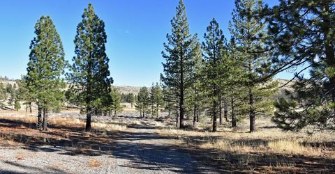 Apn 047 State Route 89, Markleeville, CA 96120 Photo