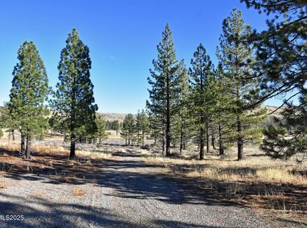 Apn 047 State Route 89, Markleeville, CA 96120 Photo