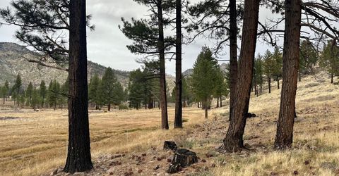 Apn 047 State Route 89, Markleeville, CA 96120 Photo