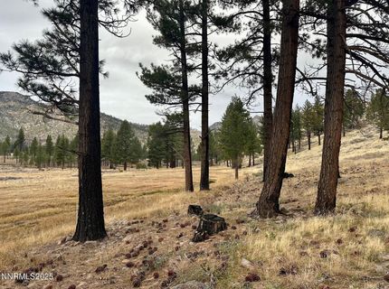 Apn 047 State Route 89, Markleeville, CA 96120 Photo