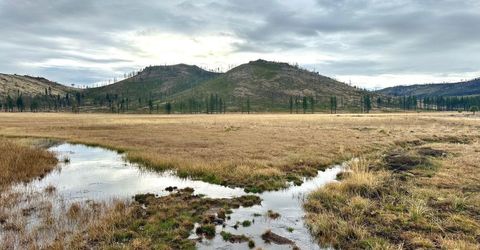 Apn 047 State Route 89, Markleeville, CA 96120 Photo