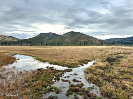 Apn 047 State Route 89, Markleeville, CA 96120 Photo