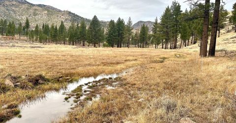 Apn 047 State Route 89, Markleeville, CA 96120 Photo