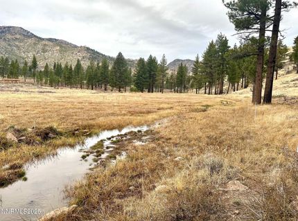 Apn 047 State Route 89, Markleeville, CA 96120 Photo