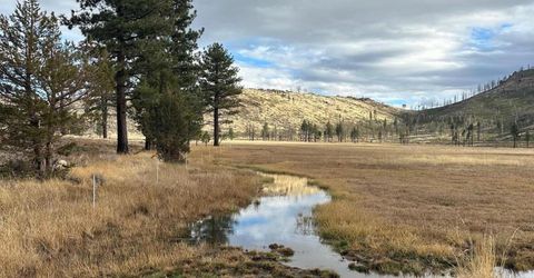 Apn 047 State Route 89, Markleeville, CA 96120 Photo