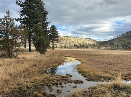 Apn 047 State Route 89, Markleeville, CA 96120 Photo