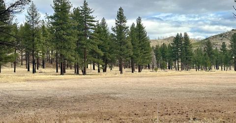 Apn 047 State Route 89, Markleeville, CA 96120 Photo