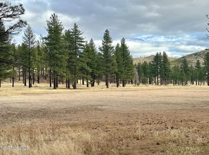 Apn 047 State Route 89, Markleeville, CA 96120 Photo