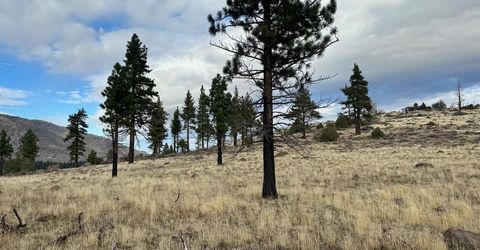 Apn 047 State Route 89, Markleeville, CA 96120 Photo