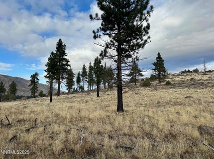 Apn 047 State Route 89, Markleeville, CA 96120 Photo