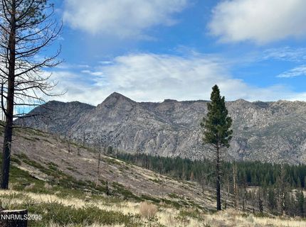 Apn 047 State Route 89, Markleeville, CA 96120 Photo