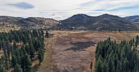 Apn 047 State Route 89, Markleeville, CA 96120 Photo