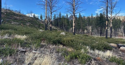 Apn 047 State Route 89, Markleeville, CA 96120 Photo