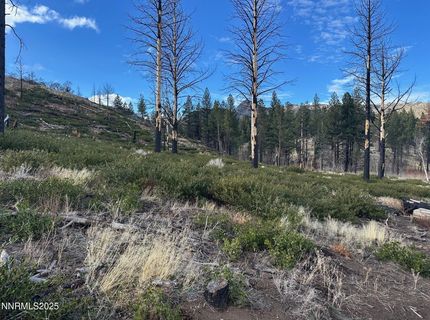 Apn 047 State Route 89, Markleeville, CA 96120 Photo