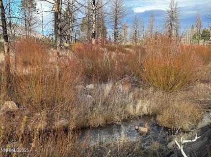 Apn 047 State Route 89, Markleeville, CA 96120 Photo