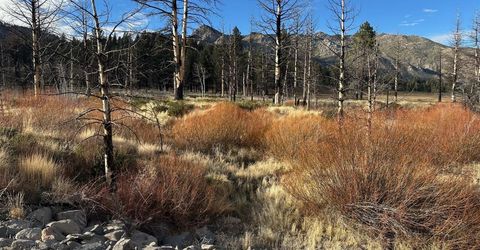 Apn 047 State Route 89, Markleeville, CA 96120 Photo