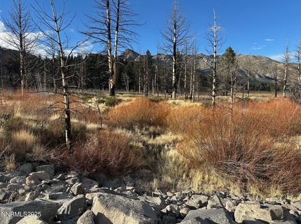 Apn 047 State Route 89, Markleeville, CA 96120 Photo