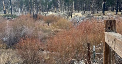 Apn 047 State Route 89, Markleeville, CA 96120 Photo