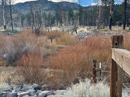 Apn 047 State Route 89, Markleeville, CA 96120 Photo