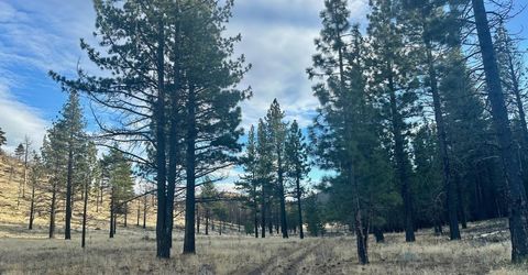 Apn 047 State Route 89, Markleeville, CA 96120 Photo