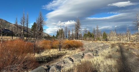 Apn 047 State Route 89, Markleeville, CA 96120 Photo