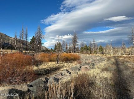 Apn 047 State Route 89, Markleeville, CA 96120 Photo