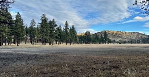 Apn 047 State Route 89, Markleeville, CA 96120 Photo