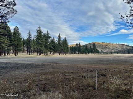 Apn 047 State Route 89, Markleeville, CA 96120 Photo