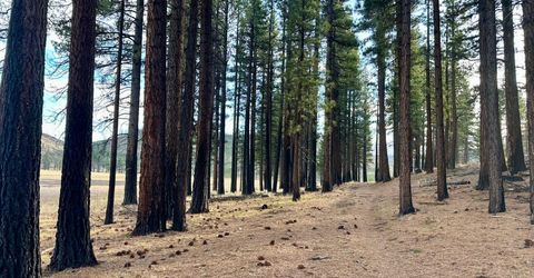 Apn 047 State Route 89, Markleeville, CA 96120 Photo