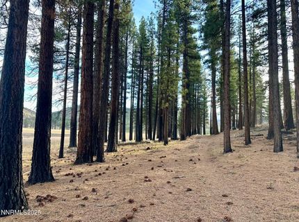 Apn 047 State Route 89, Markleeville, CA 96120 Photo