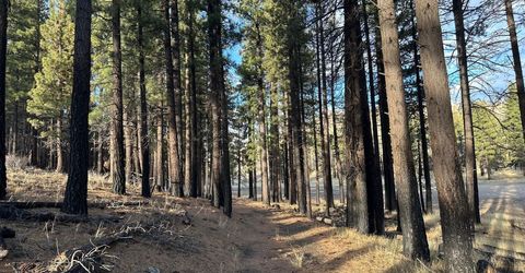 Apn 047 State Route 89, Markleeville, CA 96120 Photo