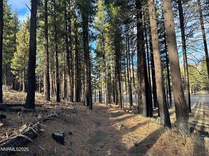 Apn 047 State Route 89, Markleeville, CA 96120 Photo