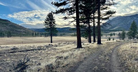 Apn 047 State Route 89, Markleeville, CA 96120 Photo