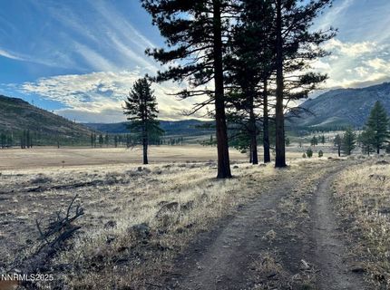 Apn 047 State Route 89, Markleeville, CA 96120 Photo