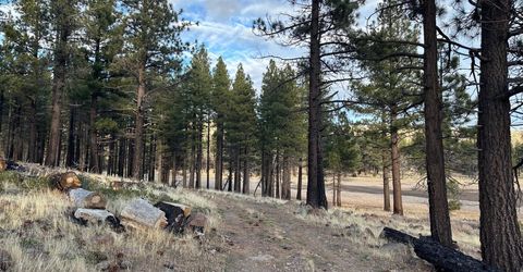 Apn 047 State Route 89, Markleeville, CA 96120 Photo