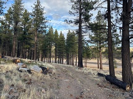 Apn 047 State Route 89, Markleeville, CA 96120 Photo