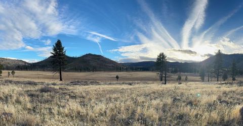 Apn 047 State Route 89, Markleeville, CA 96120 Photo