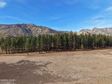 Apn 047 State Route 89, Markleeville, CA 96120 Photo