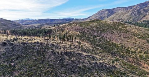 Apn 047 State Route 89, Markleeville, CA 96120 Photo