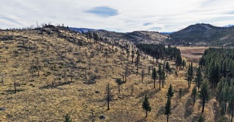 Apn 047 State Route 89, Markleeville, CA 96120 Photo