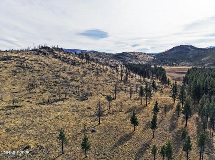 Apn 047 State Route 89, Markleeville, CA 96120 Photo