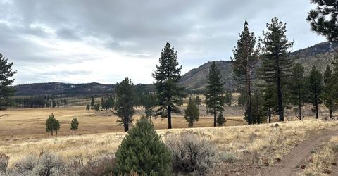 Apn 047 State Route 89, Markleeville, CA 96120 Photo