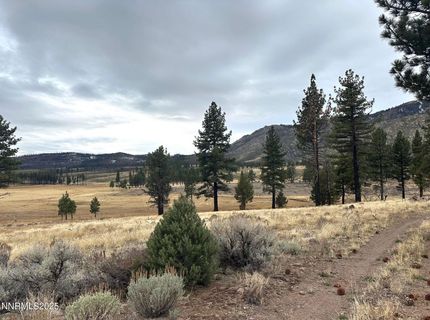 Apn 047 State Route 89, Markleeville, CA 96120 Photo